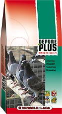 Depure Plus