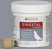 Digestal