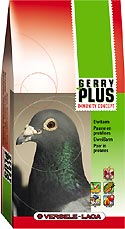 Gery plus