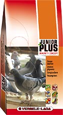 Junior Plus