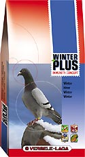 Winter plus