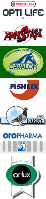 Prestige_BentoCronen