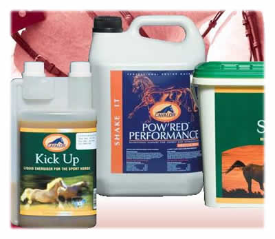 Energija i Kondicija