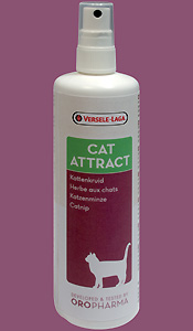 Cat attract